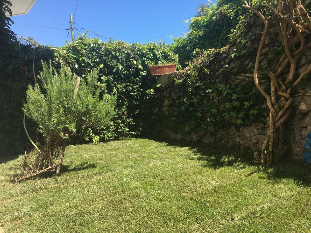 Apartment Ruderi