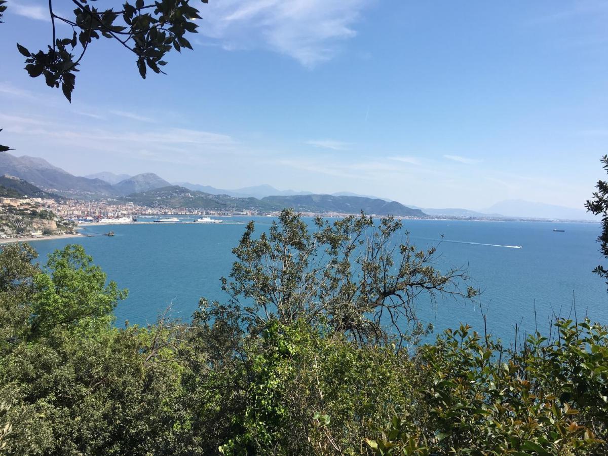 Apartment Ruderi Cetara